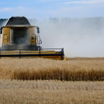João Eustáquio De Almeida Junior mostra como investir na capacitação no campo é essencial para aumentar a produtividade e fortalecer o agronegócio.