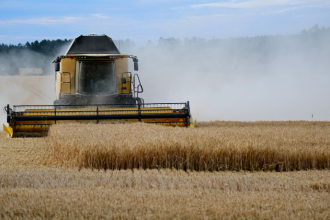 João Eustáquio De Almeida Junior mostra como investir na capacitação no campo é essencial para aumentar a produtividade e fortalecer o agronegócio.