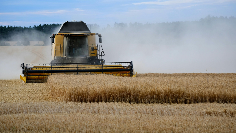 João Eustáquio De Almeida Junior mostra como investir na capacitação no campo é essencial para aumentar a produtividade e fortalecer o agronegócio.