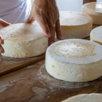 Queijo artesanal brasileiro ganha projeção internacional em 2026: por que a ExpoQueijo pode mudar o mercado e a sua próxima harmonização