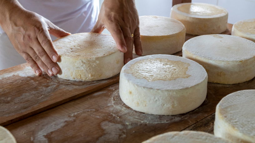 Queijo artesanal brasileiro ganha projeção internacional em 2026: por que a ExpoQueijo pode mudar o mercado e a sua próxima harmonização