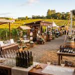Eventos de vinho movimentam o Brasil e ampliam as opções para quem busca novas experiências gastronômicas