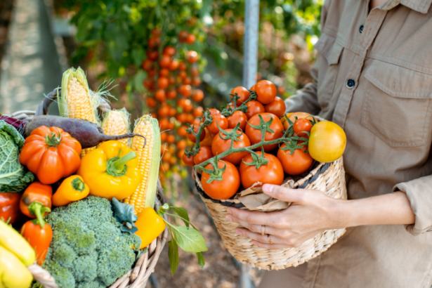 Thiago Venancio Raul Cordeiro de Aquino