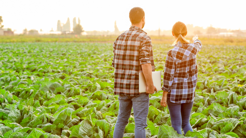 Na visão de Alfredo Moreira Filho, o engenheiro agrónomo é o elo entre inovação, sustentabilidade e liderança no agro.