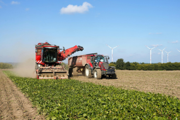 Alfredo Moreira Filho mostra como a carreira de engenheiro agrónomo se tornou peça-chave para o futuro e a liderança no agronegócio.