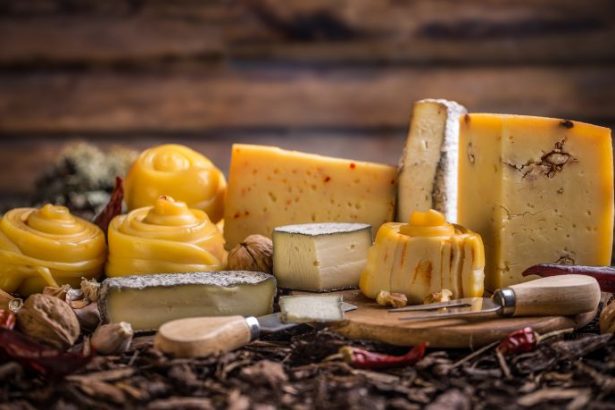 Savencia Brasil no Mundial do Queijo: protagonismo, estratégia e impacto no mercado nacional