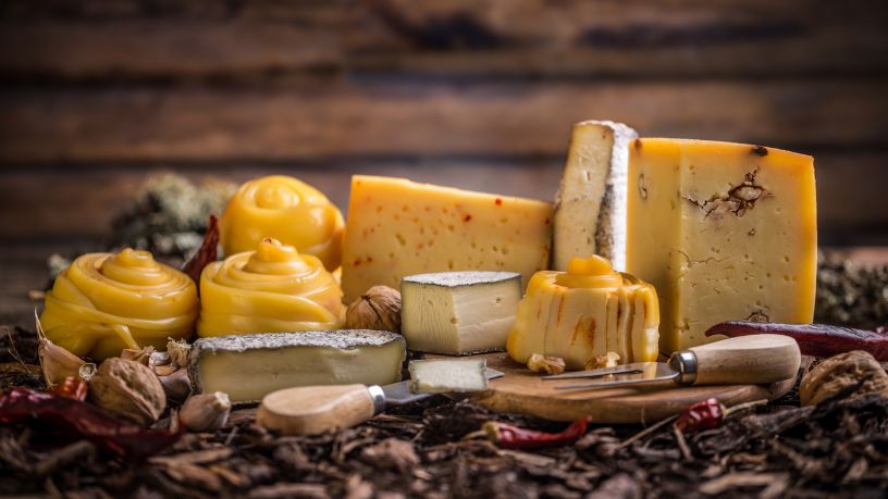 Savencia Brasil no Mundial do Queijo: protagonismo, estratégia e impacto no mercado nacional