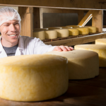 Nova fábrica de queijos e derivados de leite promete movimentar a economia do Sul do Brasil