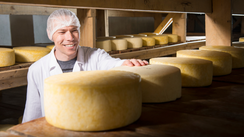 Nova fábrica de queijos e derivados de leite promete movimentar a economia do Sul do Brasil