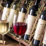 Concurso de Vinhos em Caxias do Sul ganha nova categoria e reforça a excelência da vitivinicultura brasileira