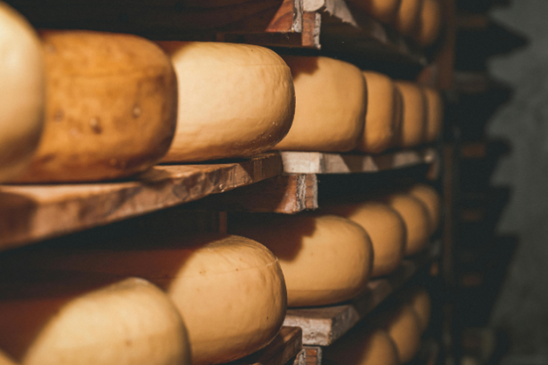 Rota turística de queijos artesanais na Região Serrana do Rio de Janeiro impulsiona turismo gastronômico e experiências locais