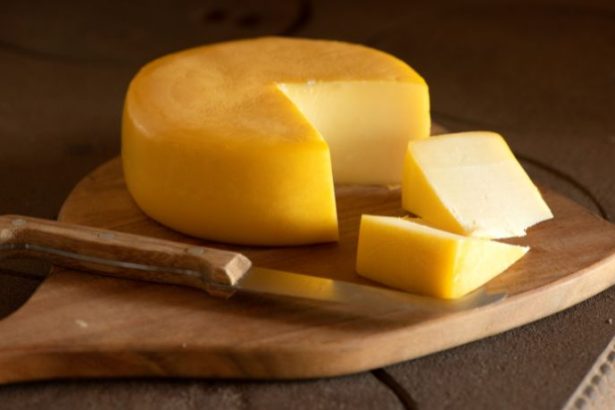 Queijo artesanal de SC conquista o mundo e revela a força da produção brasileira de excelência