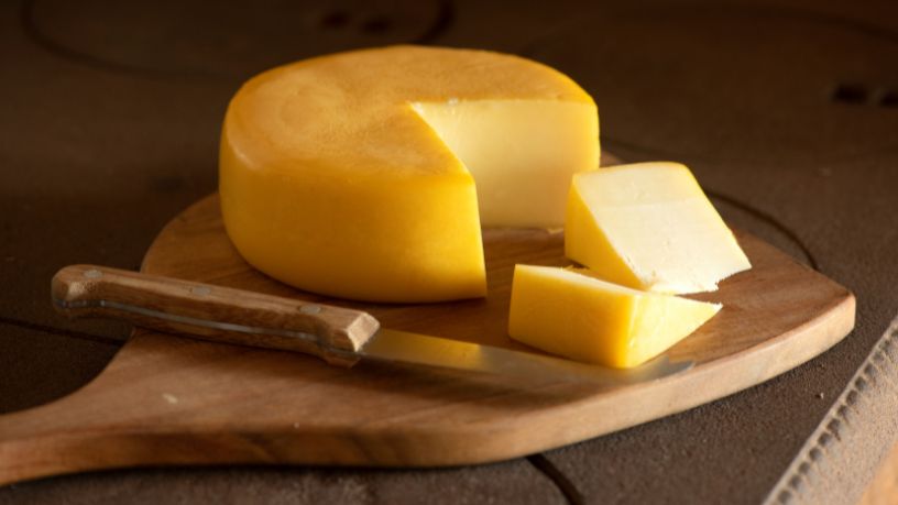 Queijo artesanal de SC conquista o mundo e revela a força da produção brasileira de excelência