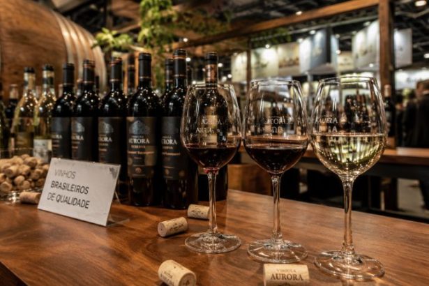 Vinho brasileiro ganha força no mercado e impulsiona economia durante feira no Rio Grande do Sul