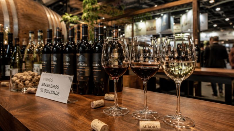 Vinho brasileiro ganha força no mercado e impulsiona economia durante feira no Rio Grande do Sul