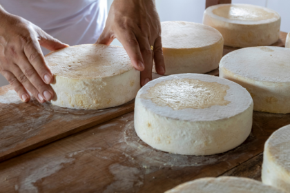 Queijo artesanal brasileiro ganha projeção internacional em 2026: por que a ExpoQueijo pode mudar o mercado e a sua próxima harmonização